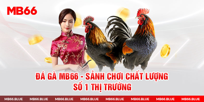 Đá Gà MB66 - Sảnh Chơi Chất Lượng Số 1 Thị Trường