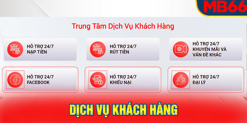 Dịch vụ khách hàng